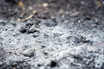 Rock dust spread on a vegetable bed to enhance soil fertility and support Terra Preta formation