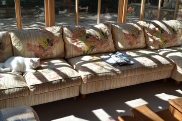 A heartwarming scene of a dog and cat together on a sofa inside. Friends forever