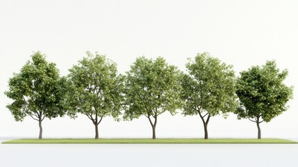 Fototapeta premium Five Lush Green Trees on a Grassy Patch Against a White Background