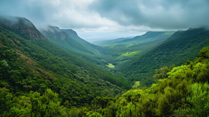 Scenic landscapes filled with lush greenery in Garden Route National Park South Africaa??s natural wonderland