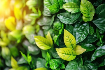 Lush Green Leaf Background, Vibrant Foliage Texture