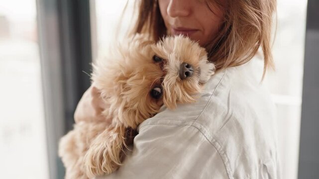 Close-up of a loving owner hugging their adorable dog, evoking warmth, care, and companionship.