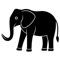 elephant isolated on white