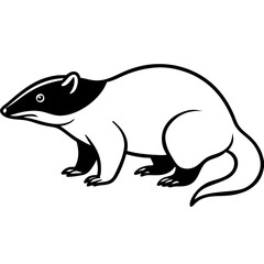 illustration of a squirrel