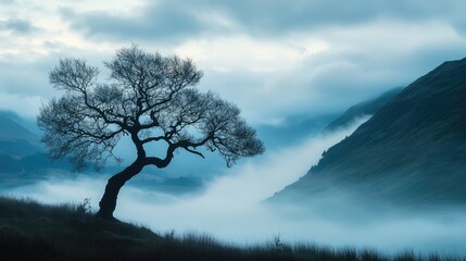 Obraz premium Silhouette of a solitary tree overlooking a misty valley with foggy mountains and dramatic clouds in the serene background landscape