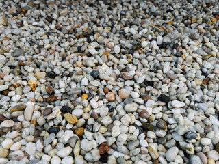 Natural Decorative Gravel Stones for Landscaping Projects