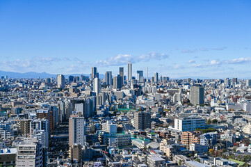 Fototapeta premium 東京の都市風景