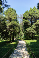 Flagstone path of cypress forest in Summer Palace, Beijing, China