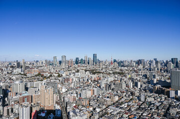 Fototapeta premium 東京の都市風景