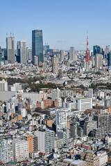 Fototapeta premium 東京の都市風景