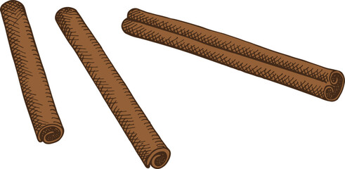 Vector illustration with Cinnamon sticks on isolated background. Hand drawn engraved bark brown spice. Spicy seasoning, condiment aromatic ingredient for cooking, baking. Design element for logo, sign
