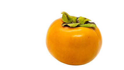 柿　採れたて　秋の味覚