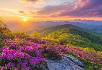 Obraz premium Breathtaking Sunrise Over Rolling Hills of Vibrant Pink Flowers in a Scenic Mountain Landscape During the Stunning Golden Hour of Early Morning