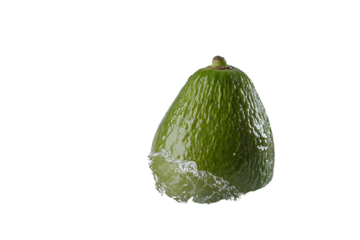 Wet Avocado with Water Splashes Isolated On A White Background, PNG Transparent