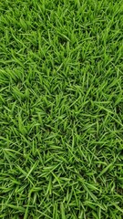 Abstract green soccer field texture, close-up grass detail , illustration, element