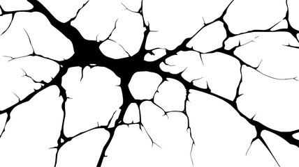 Cracks and scratches. Black cracked branched lines on white surface. Broken damaged wall, fissures and holes in ground or concrete. Vector texture with many cracks and scratches for poster or cover.