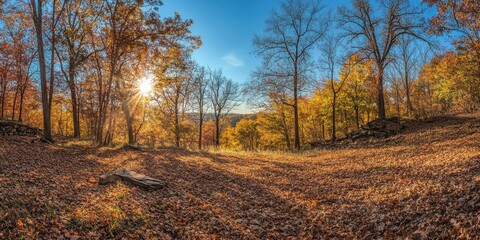 Fototapeta premium Serene Autumn Landscape with Vibrant Foliage and Soft Sunlight Peeking Through Trees in a Peaceful Natural Setting