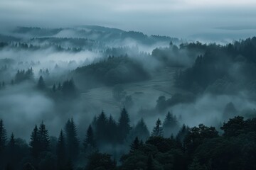 Fototapeta premium Misty forest landscape at dawn with dense fog and towering trees in a serene mountain setting