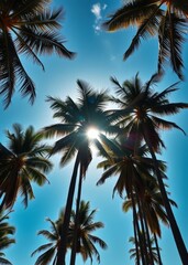 Beach Wallpaper of Sun shining through tall palm trees summer fashion travel vacation tourism lifestyle and weather concept beach wallpaper summer wallpaper beach background tropical nature