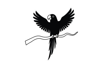 Obraz premium Parrot Silhouette Vector Design