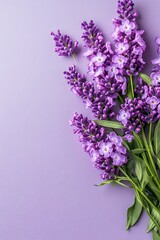Obraz premium Soft Lavender Floral Arrangement on Gray Background