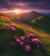 Obraz premium Serene Sunrise Over Majestic Mountain Landscape with Vibrant Pink Rhododendron Flowers in Bloom Against a Dramatic Sky and Rolling Green Hills