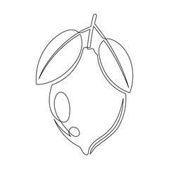 Lemon with leaf isolated on white background. Simple citrus silhouette. Hand drawn lemon outline. Vector illustration