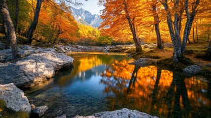 Obraz premium Autumnal Forest Reflections: A Serene Mountain Stream