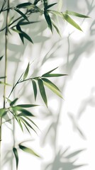 Fototapeta premium Traditional Chinese bamboo texture illustration poster background