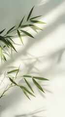 Traditional Chinese bamboo texture illustration poster background