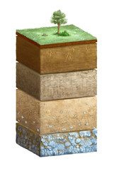 Layers of soil