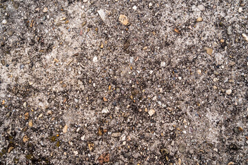 Old concrete with small stones as texture.