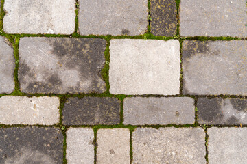 Concrete paving stones on the sidewalk with moss between the stones - texture.