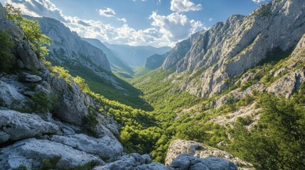 Obraz premium Majestic Mountain Valley Scenery