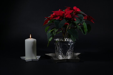 Weihnachten 2024, Kerze und Weihnachtsstern