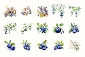Fototapeta premium A collection of watercolor illustrations showcasing blueberries, cute animals, and floral designs. Perfect for craft projects or floral decor with a whimsical touch.