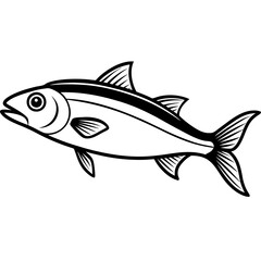 Fototapeta premium fish isolated on white background