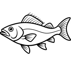 Fototapeta premium fish isolated