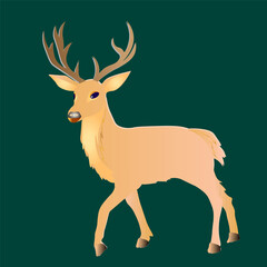 Deer on a dark background. Illustration vector 