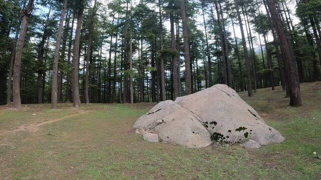 Beautiful ushu forest jungle view in Sawat kalam Pakistan. Along with big rocks with cloudy sky