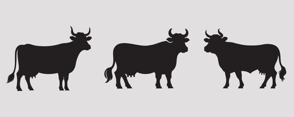 Three cow silhouettes in different poses on a gray background