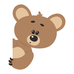 Cute cartoon teddy bear peeking out from behind. Vector isolated on white