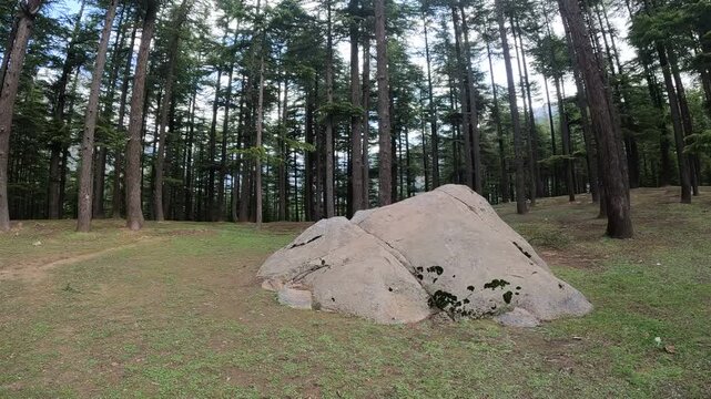 Beautiful ushu forest jungle view in Sawat kalam Pakistan. Along with big rocks with cloudy sky