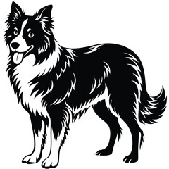 a Border Collie dog vector silhouette, white background,