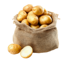 Fresh potatoes isolated on transparent background 
