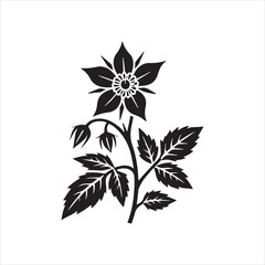 black and white flowers