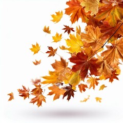 Obraz premium autumn leaves background
