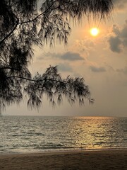 A tree silhouetted against a cloudy sky with sun shining through