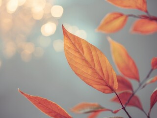 Fototapeta premium Leaves A Close Up Showcase of Natures Color