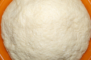 A close-up view of freshly risen dough in an orange bowl, showing its soft, fluffy texture and smooth surface.